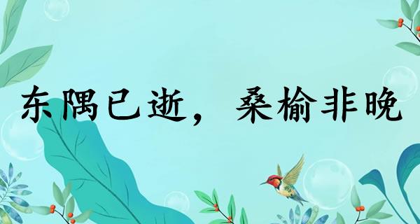 东隅已逝，桑榆非晚