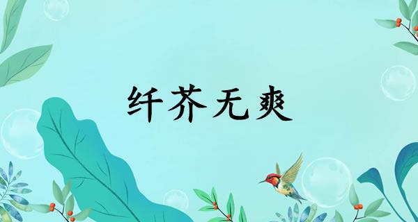 纤芥无爽