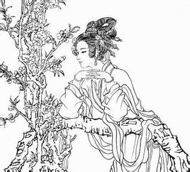 花蕊夫人画像